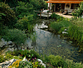 Naturally landscaped garden pond, seating on wooden deck