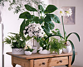 Green and white arrangement