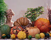 Still life with different kinds of pumpkins