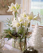 Floral arrangement of Amaryllis 'Jewell' and various branches