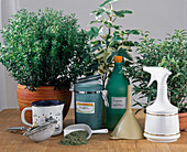 BIOLOGISCHER Pflanzenschutz: Tee aus 20 G Ge-