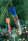 Windflags, Petunia (Petunia)