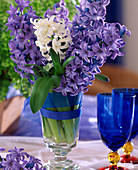 Hyacinthus multiflora in white and blue