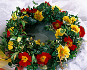 Wreath of primrose blossoms, boxwood, ivy and Euonymus