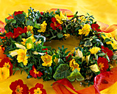 Wreath of primrose blossoms, boxwood and ivy