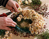 Autumn wreath with autumn chrysanthemums and rose hips. 2nd step