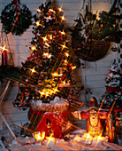 Christmas arrangement with Hedera helix