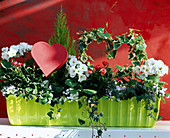 Valentine's box with primroses and ivy, red heart as decoration