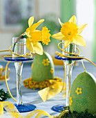 Daffodil flowers in small glasses