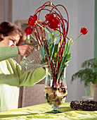 Arrange the tulip 'Abba' in a lantern 7. step