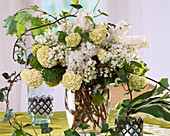 Viburnum (Snowball), Syringa 'Mme Lemoine', Hedera (Ivy)