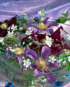 Glass bowl with clematis (woodland vine), gypsophila (baby's breath)