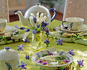 Tischdekoration mit Muscari armeniacum(blau), Muscari