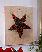 Star made by yourself: Star anise fruit in the shape of a star on a
