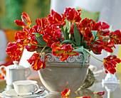 Bouquet with Tulipa (Parrot Tulips)