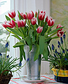 Tulip bouquet