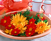 Bowl with Dahlia hybrids