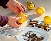 Spiking lemons with cloves as Advent decoration