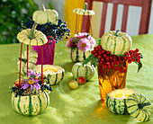 Tischdekoration mit ausgehöhlten Zierkürbissen als Teelicht und Vase, Asternblüt
