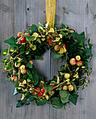 Autumnal door wreath with Hedera helix (ivy), Malus (ornamental apples)