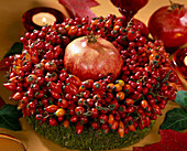 Wreath of pink (rosehips on a moss ring and Punica) pomegranate