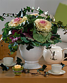 Bouquet of Brassica oleracea (ornamental cabbage), Hedera (ivy)