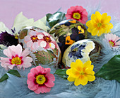 Bemalte Eier mit Blütenmotiven, Primula acaulis