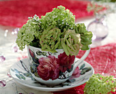 Rosenblüten, Viburnum (Schneeball) in Tasse mit Rosen-Dekor