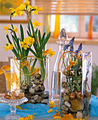 Easter decoration with daffodils and grape hyacinths