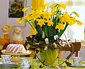 Narcissus hybr. 'Gold Medal' (daffodils, wreath of clematis vines, feathers)