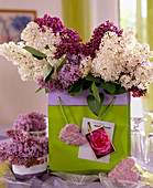 Syringa vulgaris (lilac) in vase and paper bag