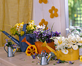 Small watering cans as vases with myosotis (forget-me-nots)