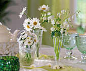 Small bouquets of daisy, marguerite and watering heart