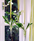 Convallaria majalis (lily of the valley in hanging glasses in front)