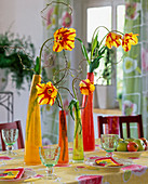 Tulip flowers in single vases, corkscrew hazel, tulipa hybr