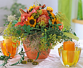 Alchemilla (lady's mantle), Hedera (ivy), Helianthus