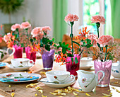 Colorful jars stuck with Dianthus