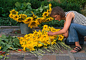 Sonnenblumenteppich