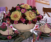 Brassica (ornamental cabbage), Skimmia, Chrysanthemum