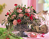 Dianthus (carnations), Calluna (heather), Calocephalus (barbed wire)
