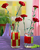 Dianthus (Carnation)
