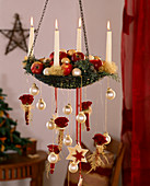 Hanging Christmas wreath decorated with malus (apple), cupressus