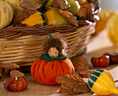 Felt pumpkin dolls, Cucurbita (ornamental pumpkin), Carpinus (hornbeam foliage)