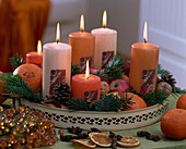 Metal tray with candles, Abies nordmanniana (Nordmann fir)