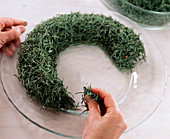 Candle wreath (2/3), arrange needles of Abies procera (Nobilistanne) to a wreath