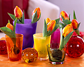 Tulipa 'Flair' (Tulpe) Wurzeln ausgewaschen und in Gläsern