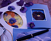 Blüten und Blätter pressen (Grußkarten selbstgemacht: Getrocknete, gepresste Blüte)