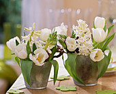 Tulipa 'Inzell' (Tulpe), Hyacinthus orientalis (weiße)