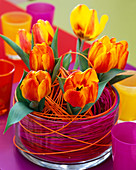 Tulipa 'Flair' (tulip) in glass bowl