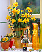 Narcissus 'Jetfire' (Narzissen), Primula acaulis (Frühlingsprimeln)
